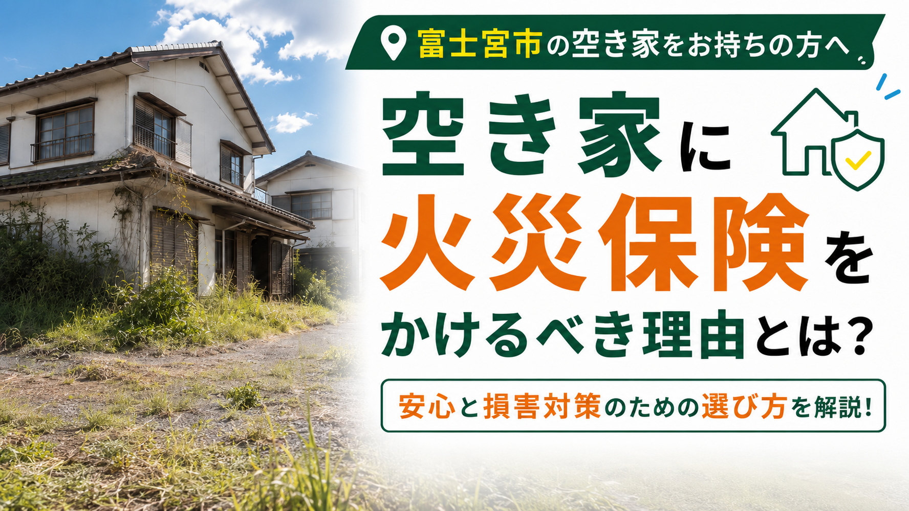 画像2487